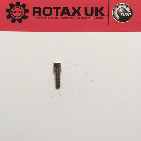 240181 (441-341) - Allen Screw M5x20mm DIN for engine types: 100, 122, 123, 129, 242, 256, 257, 258, 282, 454, 494, 655, 670, 779, 912, 914, 990.