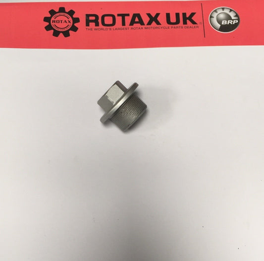 241375 - Plug Screw M24x1 for engine types: 655.