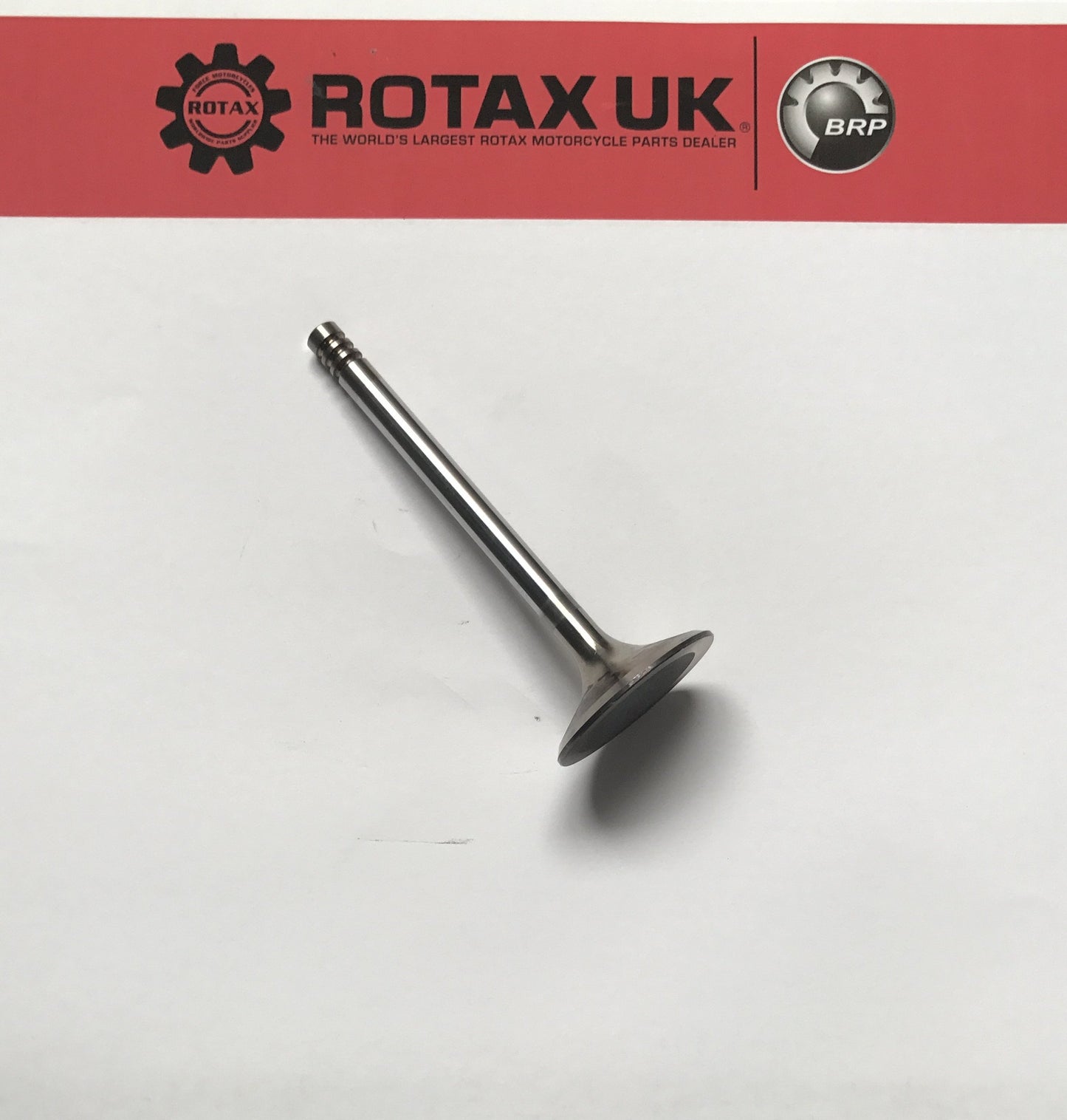 253075 - 36mm Intake Valve for engine types: 604.