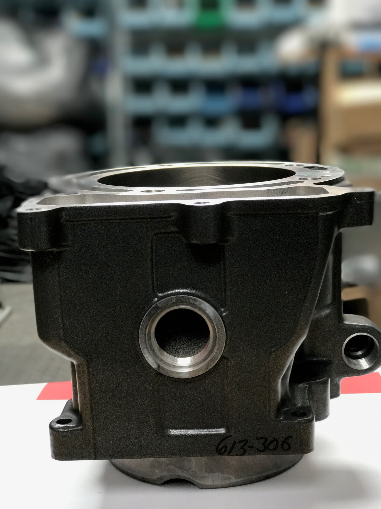 613-306 - 99.97mm Piston and Cylinder Assembly