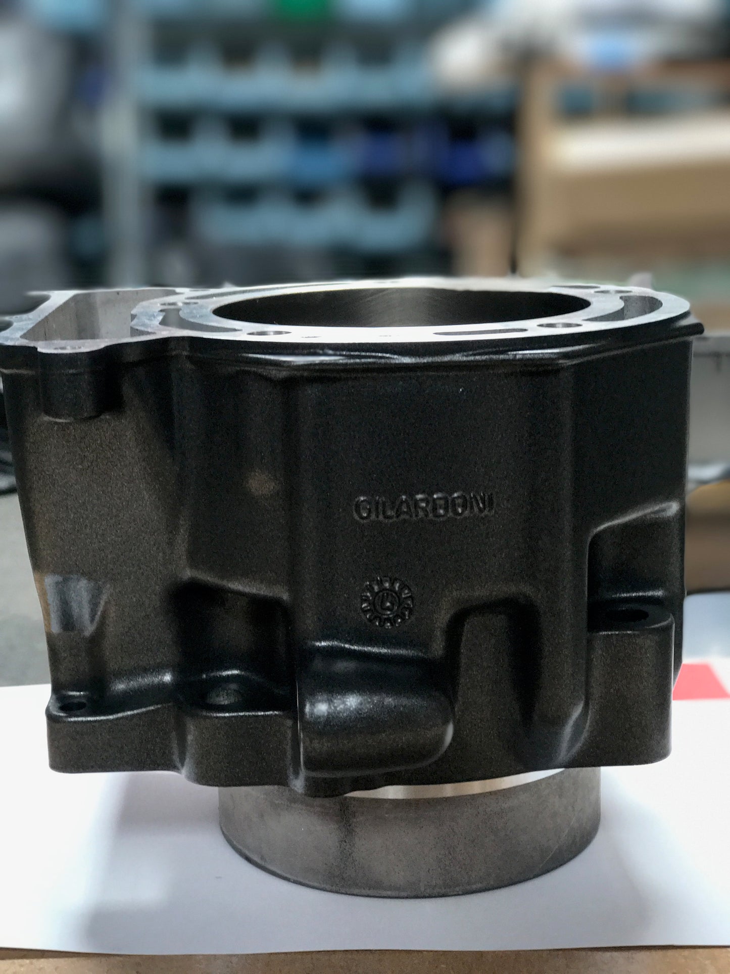 613-306 - 99.97mm Piston and Cylinder Assembly