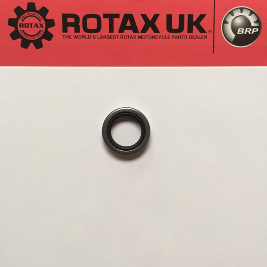 230355  - Kickstart Oil Seal 20x28x6mm for engine types: 100, 123, 127, 194, 240, 244, 280, 281, 282, 406, 655.