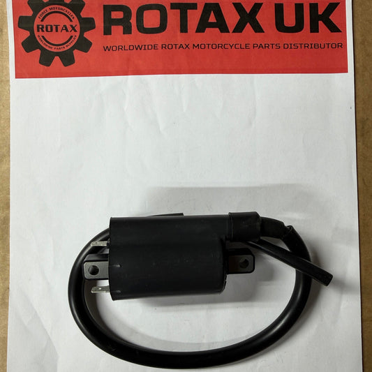 265-480 - Ignition Coil