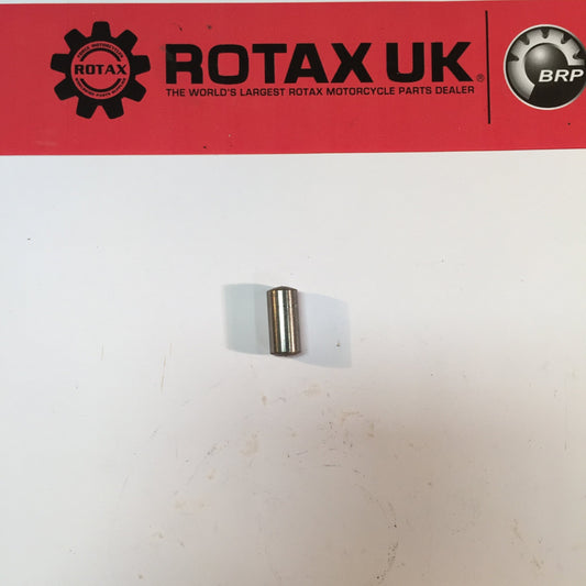 229290 - Pin for engine types: 100, 123, 655.