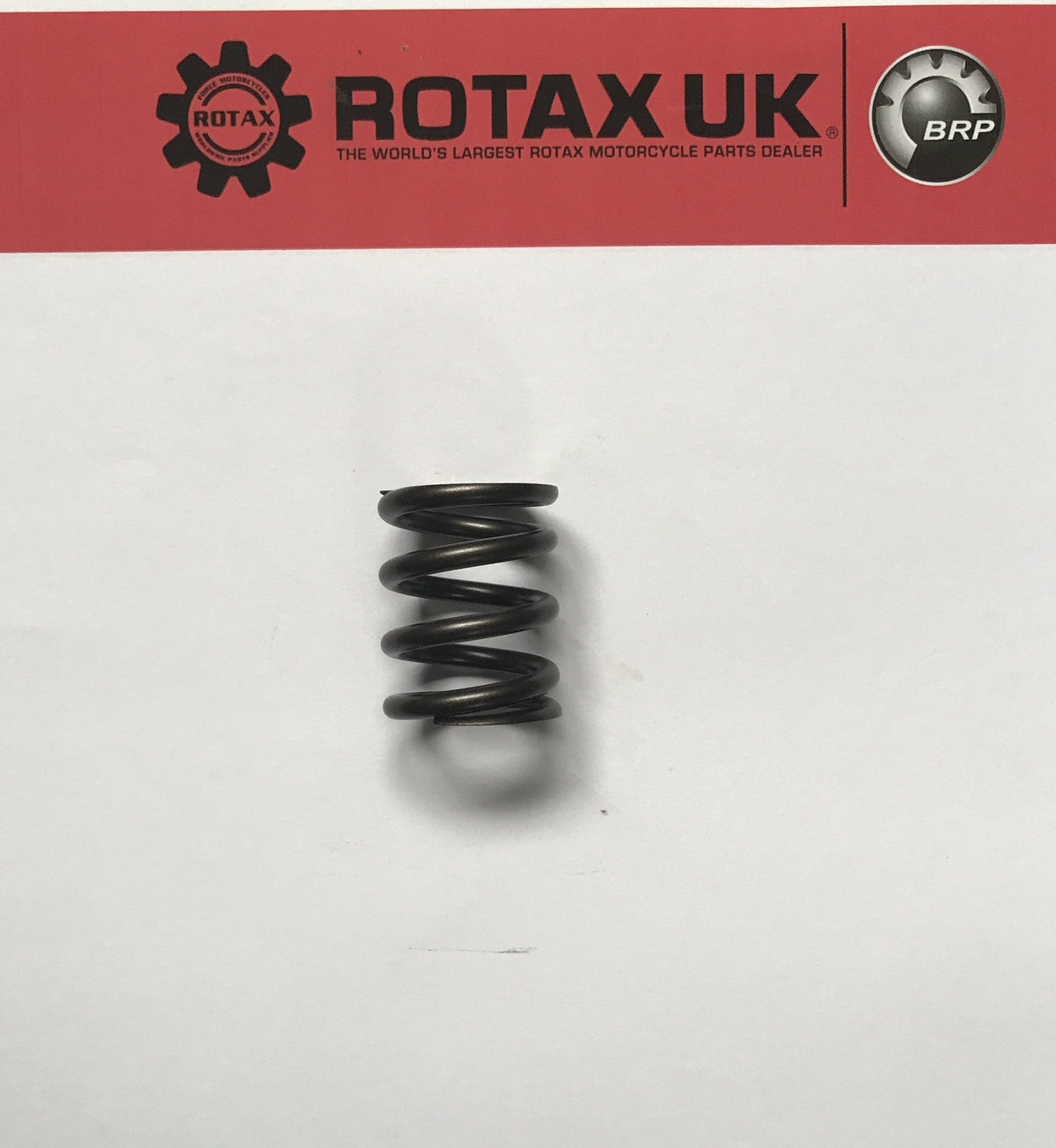 24078 Spring Rotax UK - 239-780 - Valve Spring