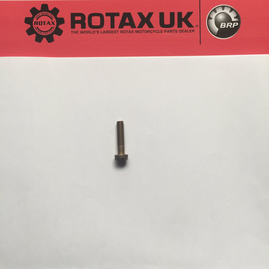 240978 - Screw M5x22mm - Slot Head for engine types: 127, 128, 129, 247, 256, 257, 258.