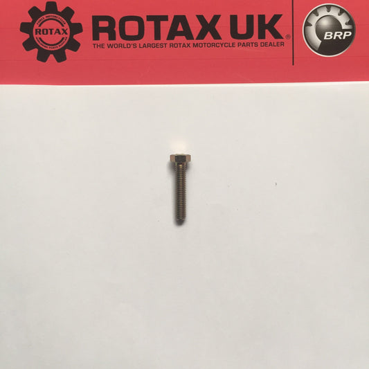 241771 - Hex Screw M5x25mm DIN 933 for engine types: 128, 129, 232, 256, 258, 604.