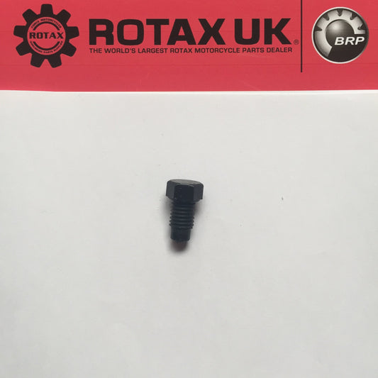 241905 - Plug Screw - M10x10mm for engine types: 122, 123, 348, 504, 560, 604, 605. 