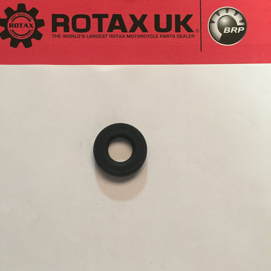 250590 - Oil Seal for engine types: 605.